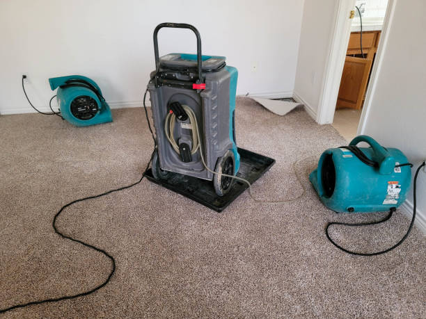 Best Local water damage restoration  in Odessa, TX