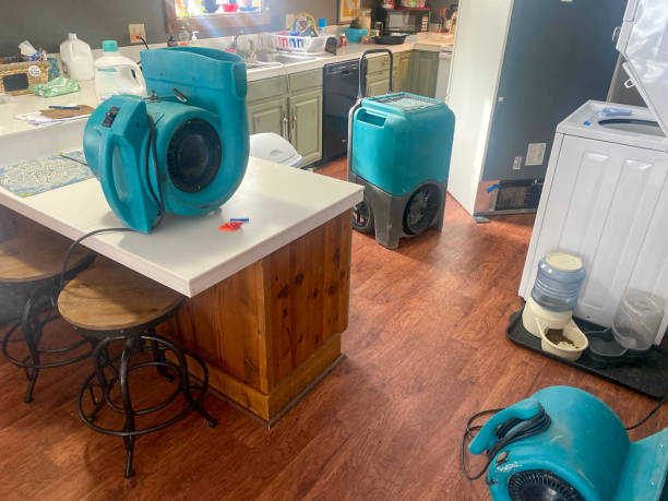 Best Water damage restoration experts  in Odessa, TX