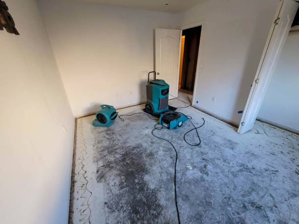 Reliable Odessa, TX Water damage restoration Solutions