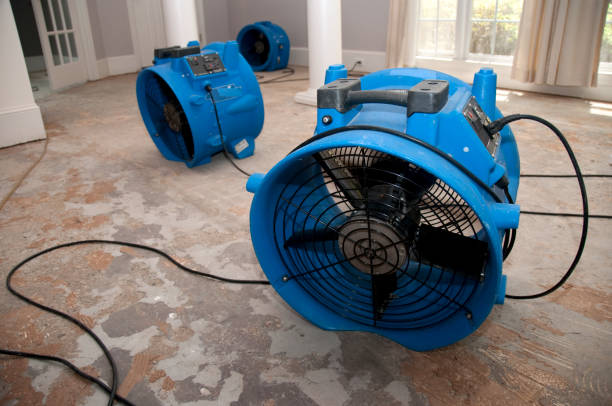 Best 24-hour water damage restoration  in Odessa, TX