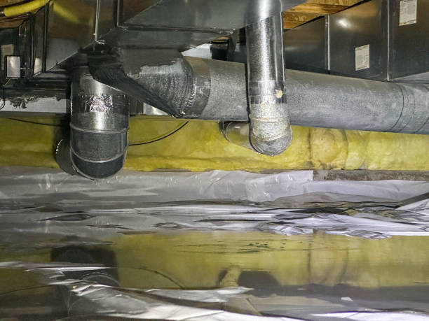 Best Mold removal after water damage  in Odessa, TX
