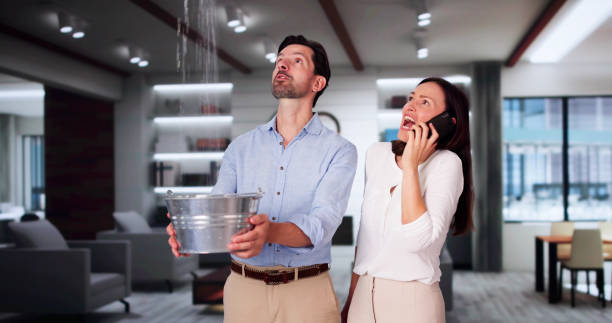 Best Flood damage cleanup  in Odessa, TX