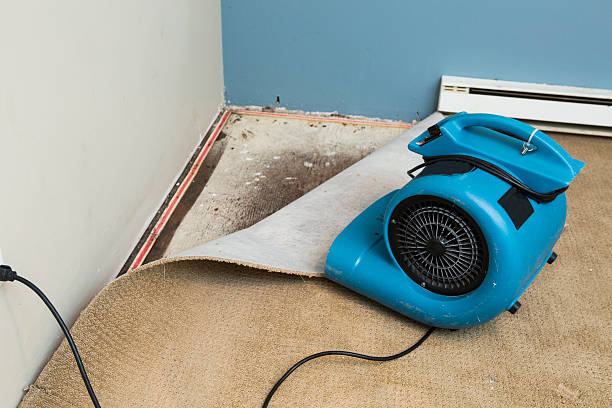 Carpet water damage restoration in Odessa, TX